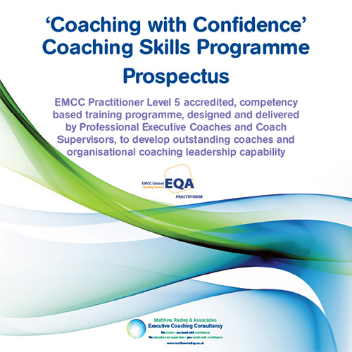 Executive Resilience Coaching Programme