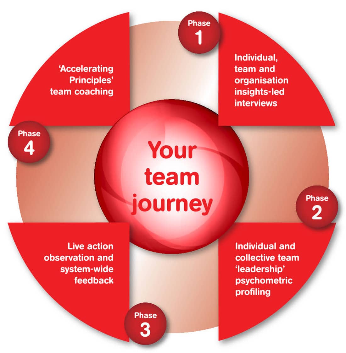 Your Team Journey